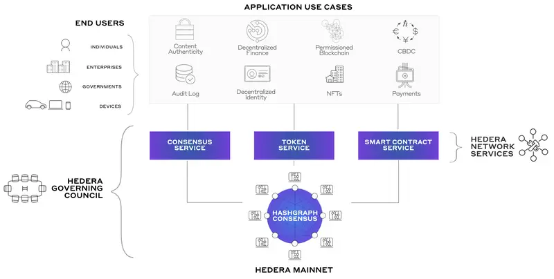 an infographic about Hedera hashgraph and what it is 